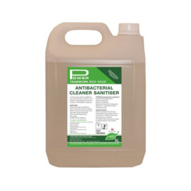 Teamwork Eco Antibacterial Cleaner Sanitiser- 5 Litre image 1