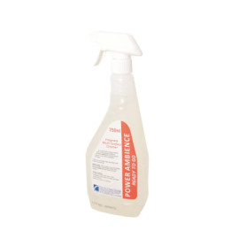 Powerambiance fragrant multi surface cleaner image 1