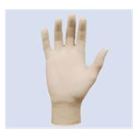 Latex Gloves Powder Free image 1
