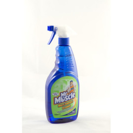 Mr Muscle Multi Surface – 750ml Trigger Spray image 1